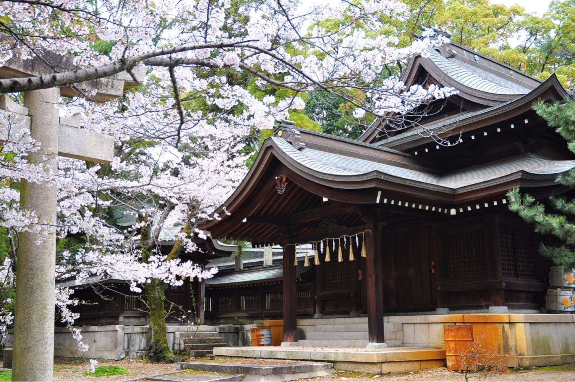 One Hostel Himeji Εξωτερικό φωτογραφία